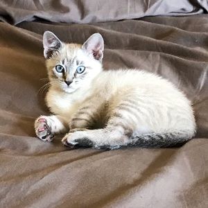 Meet your Posher, Danielle